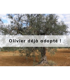 Oliba adopté par Chloé & Benjamin