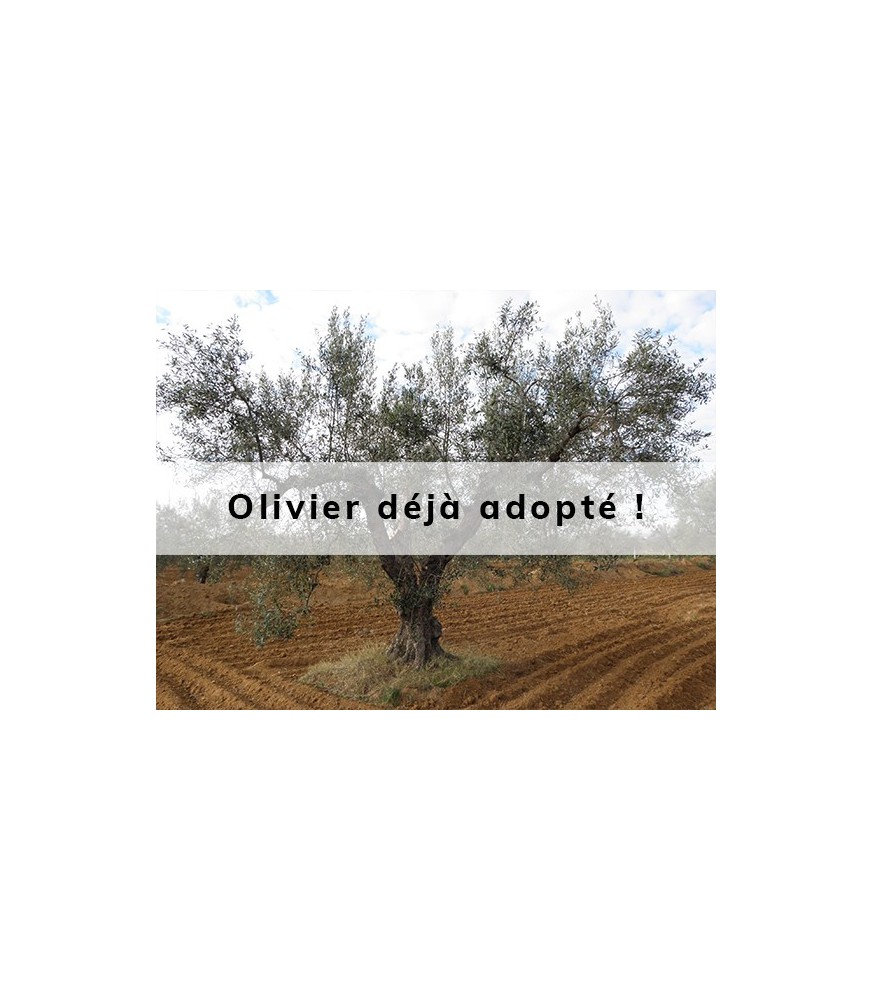 Alyvmedis adopté par Camille & Julian