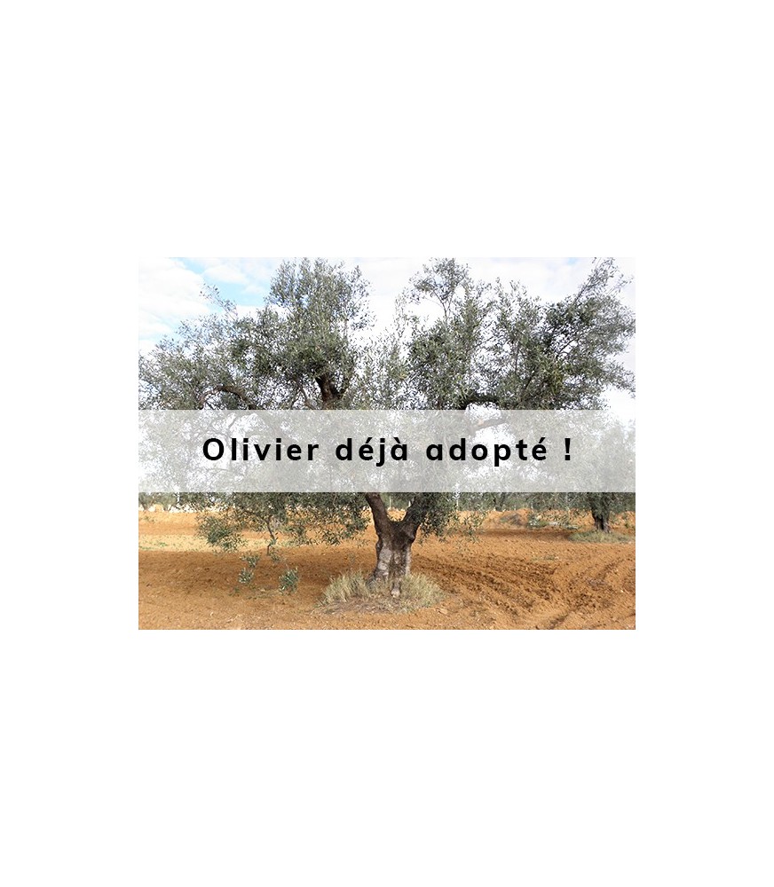 Elià adopté par Salomé