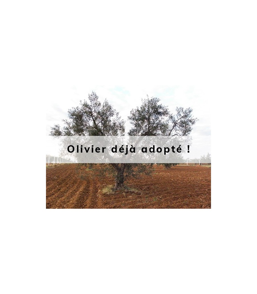 Oriwa adopté par Inés & Lahcen